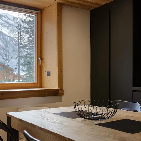 Appartement Vouvy - Moderne 4pax Remontee Flegere 5min Praz Arve Chamonix